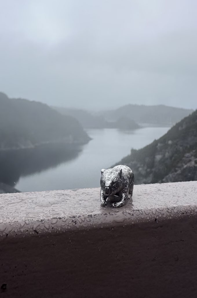 A metal wombat at the highest dam in Tasmania